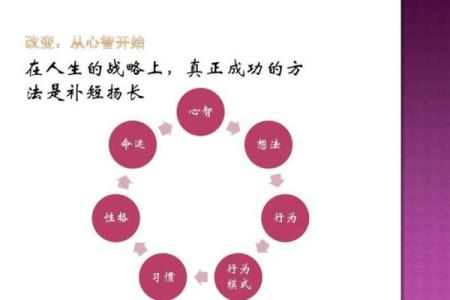 梅花卦排盘：解读人生与命运的密码