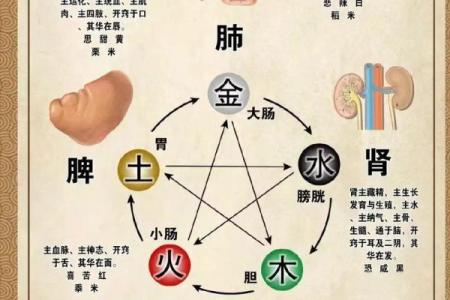 五行相生相克的奥秘与应用探索