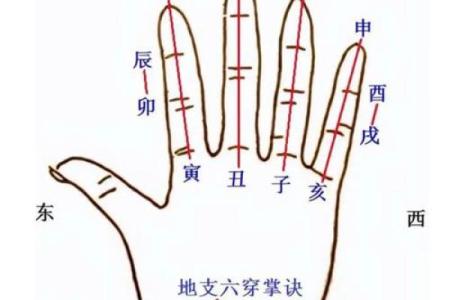 日天干合与五行相生相克的关系