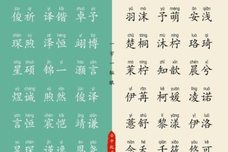 鸡年男宝宝如何起名 挑选寓意深远的名字