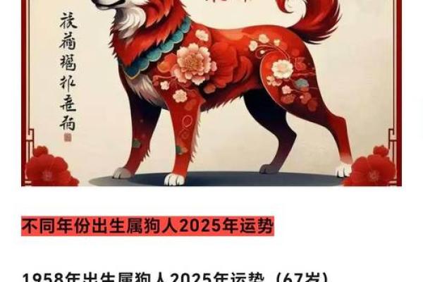根据生肖特点为属狗宝宝起名字的方法