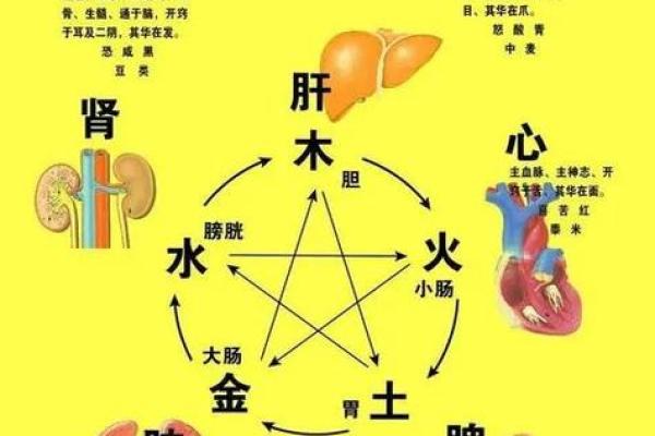 揭秘安五行与命运之间的神秘关系