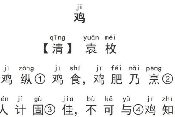 鸡宝宝起名宝典：为你的宝贝挑选寓意深远的名字