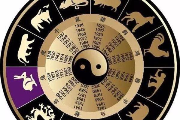 水命属相的特点与命运解析