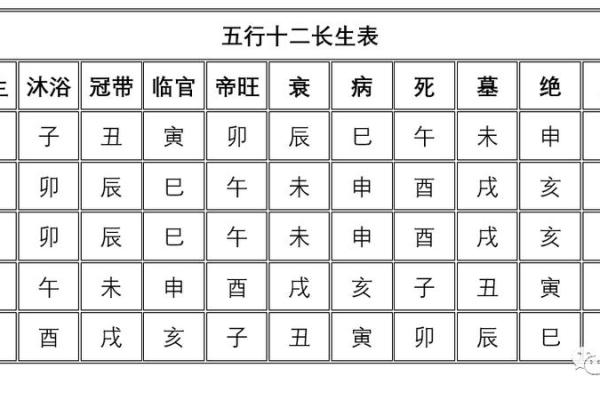天干为左：解读五行命理中的独特排列法则