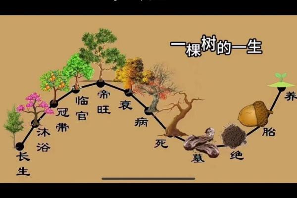 天干为左：解读五行命理中的独特排列法则