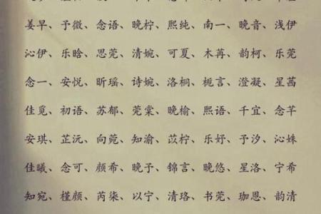 嘉字男宝宝起名大全 选一个寓意深远的名字
