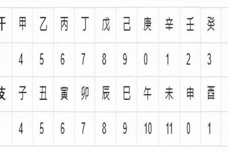 天干命理与富贵运势解析