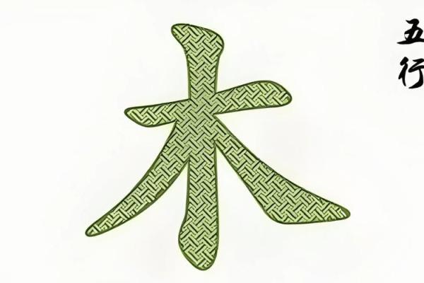 鸡年男宝宝取名字推荐 适合缺木五行的创意选择
