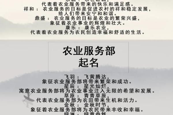如何选择一个适合的公司名字？公司起名库助你轻松找到创意灵感