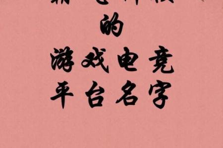 如何选择一个有创意的公司名字并提高品牌影响力