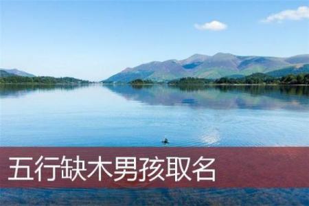 鸡年男宝宝取名字推荐 适合缺木五行的创意选择