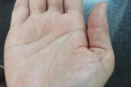 养命之源的力量：健康生活从这里开始