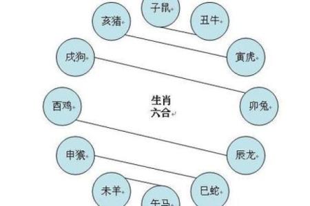 三合命解析：如何通过命理学了解个人命运