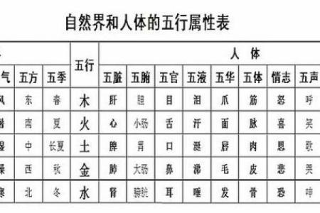 雨的五行属性解析与自然界的联系