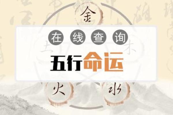 如何利用五行免费查询优化个人运势