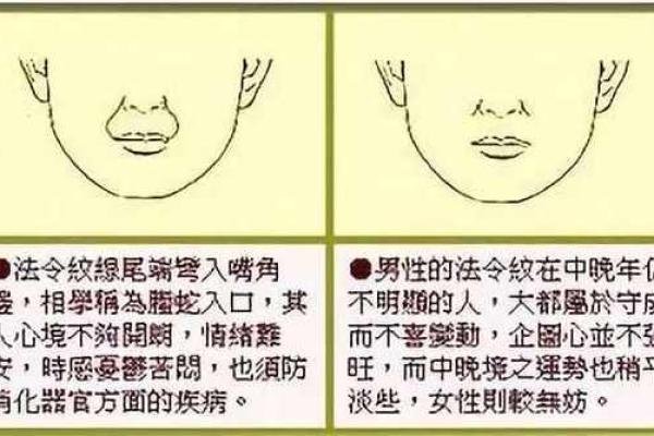 如何通过头发面相判断你的未来运势