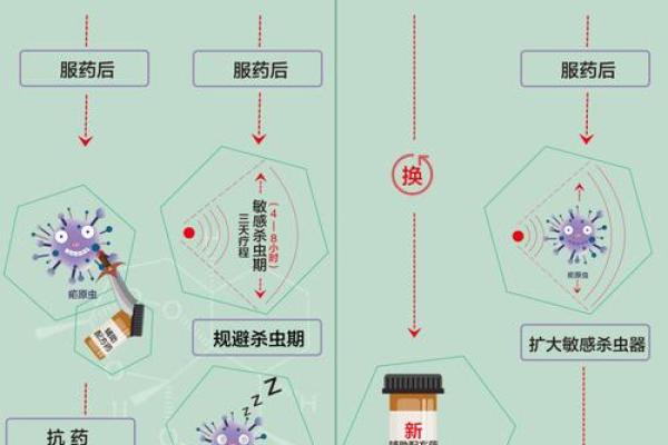 屠呦呦的八字与她的突破性发现