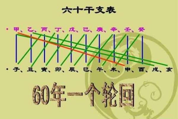 探索天干十二字背后的历史与文化意义