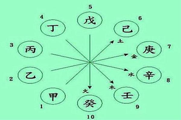 孔雀命与八字命理的关系揭秘