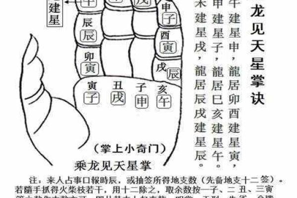 探索飞宫小奇门在线排盘的奥秘与应用方法