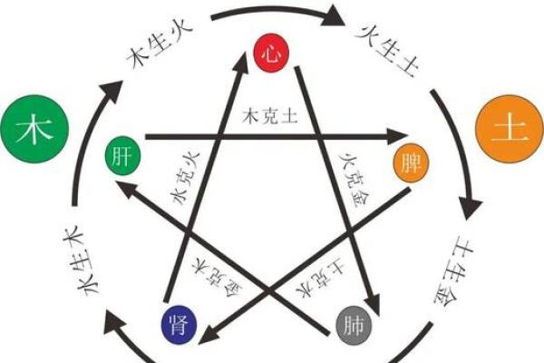 出生的人五行命运解析
