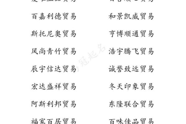 免费公司起名网大全：为你的创业之路定制专属名称