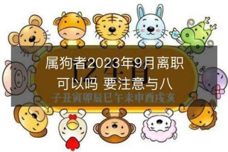 狗年宝宝起名技巧：从生肖特点到五行八字