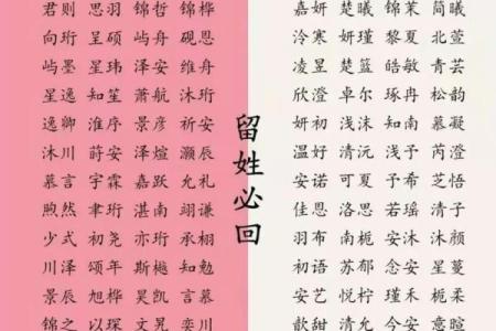 给吴姓宝宝起名的创意灵感与实用指南