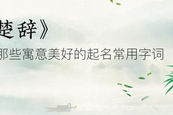 鸡宝宝取名指南，寓意美好与智慧并存