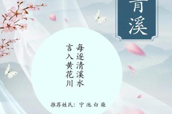 鸡宝宝取名指南，寓意美好与智慧并存