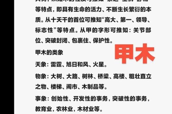 天干揭秘：从古代智慧到现代应用的深度解析