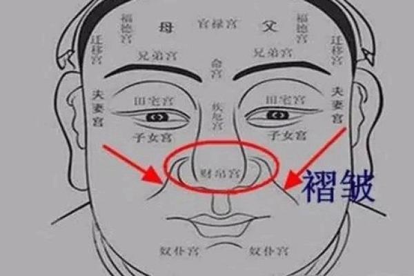 通过面相分析，揭示你的人生运势与性格特征