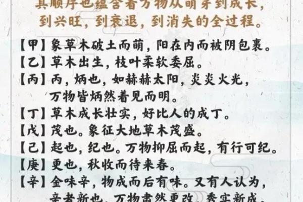 天干全和的意义与应用解析