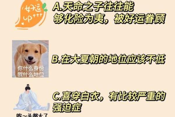 探讨天子命与天命观念的文化渊源