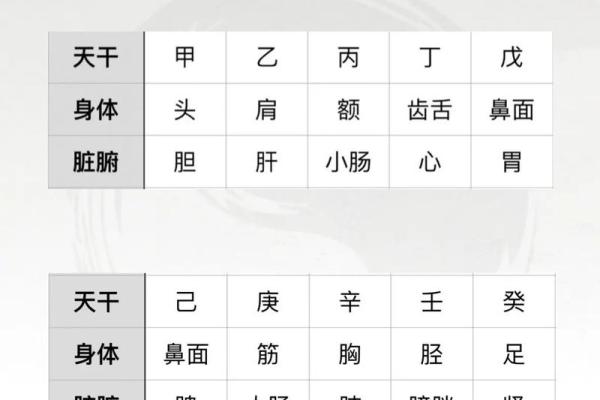 了解天干全壬的特点与命理应用