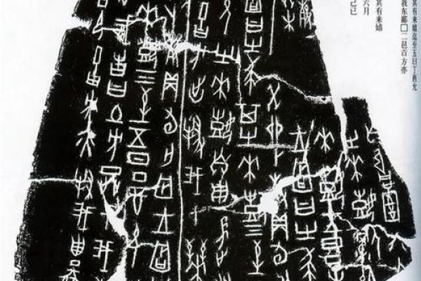 文命与武命：两种不同的命理走向