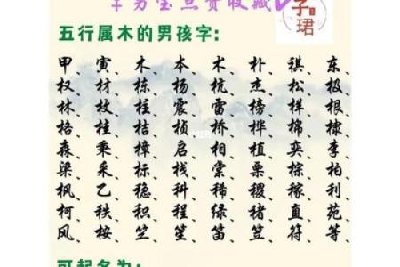 鸡年出生宝宝起名要点：如何挑选合适的字