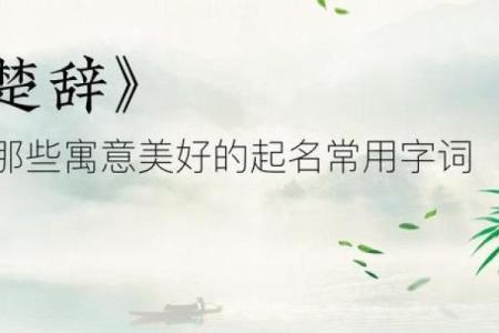 鸡宝宝取名指南，寓意美好与智慧并存