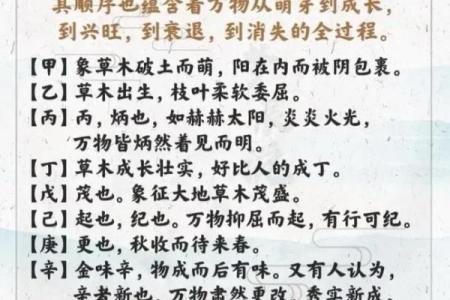 天干全和的意义与应用解析
