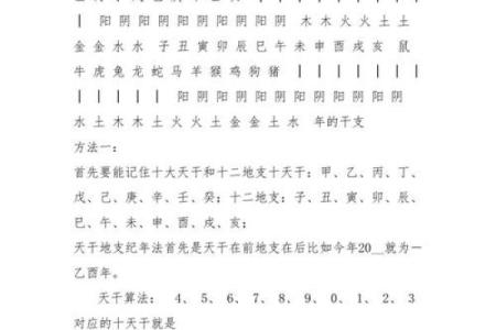 董字五行属性解析及其命理影响