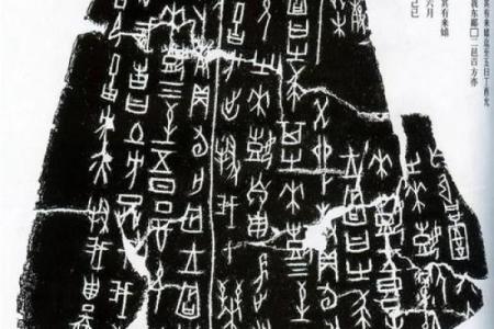 文命与武命：两种不同的命理走向