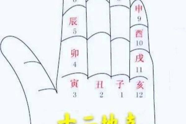 如何利用天干己日提升个人运势