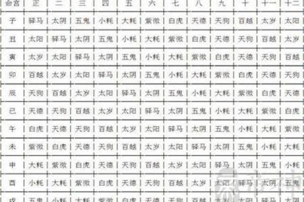 紫薇排盘流年详解：掌握未来一年运势的关键