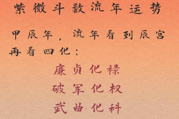 紫薇排盘流年详解：掌握未来一年运势的关键