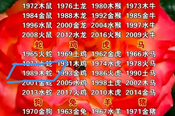 如何通过五行火来提升个人运势