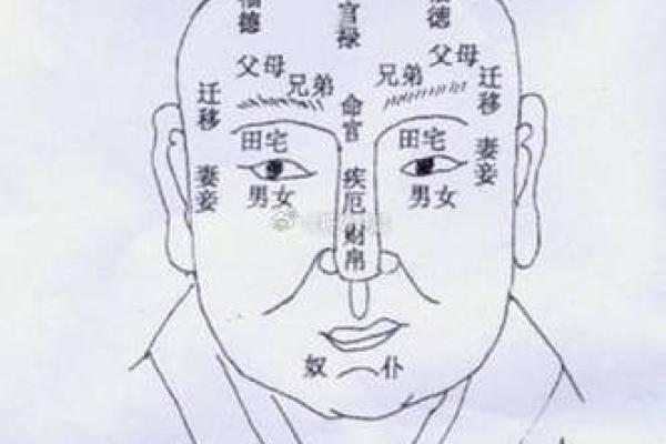 如何通过养面相提升个人魅力与财运
