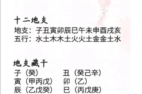解读太乙排盘法中的五行与天干地支关系