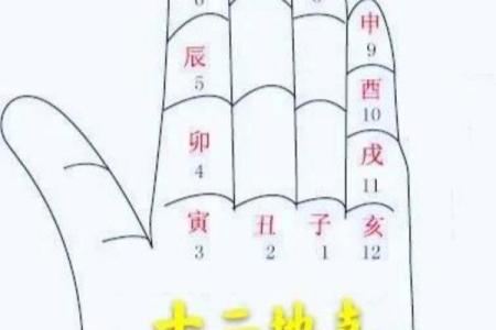 如何利用天干己日提升个人运势