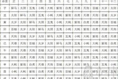 紫薇排盘流年详解：掌握未来一年运势的关键